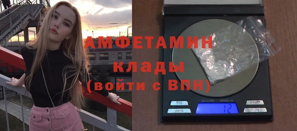 индика Волоколамск