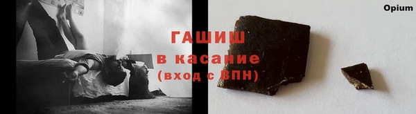 индика Волоколамск
