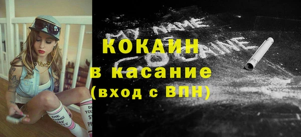 индика Волоколамск