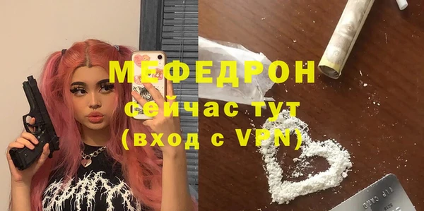 индика Волоколамск