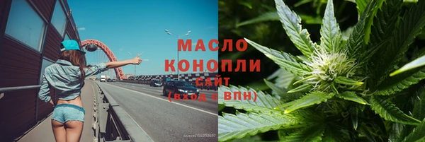 индика Волоколамск