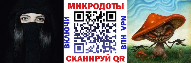 Псилоцибиновые грибы Cubensis  Нальчик 
